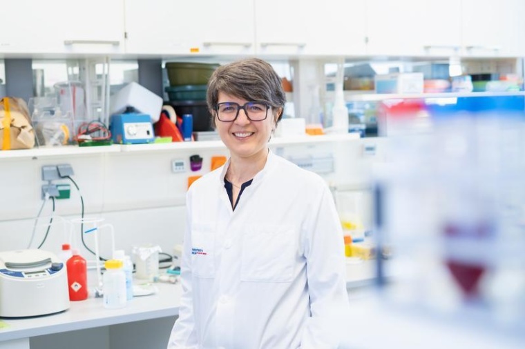 Marta Rizzi erforscht im Rahmen ihrer Heisenberg-Professur die Ursachen von...