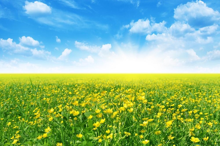 Foto: Getty Images 112142519