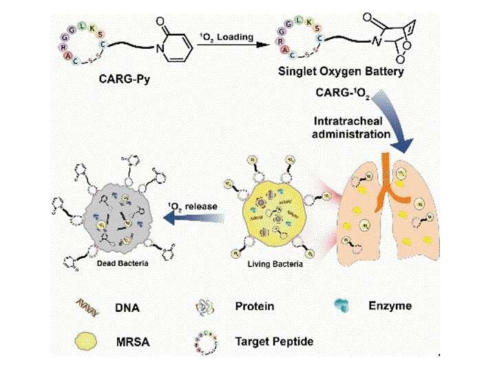 Sauerstoffladung gegen multiresistente Keime Grafik: Wiley-VCH