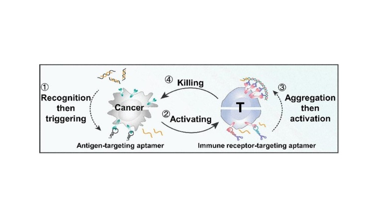 Tödliche Kommunikation Foto: Wiley-VCH