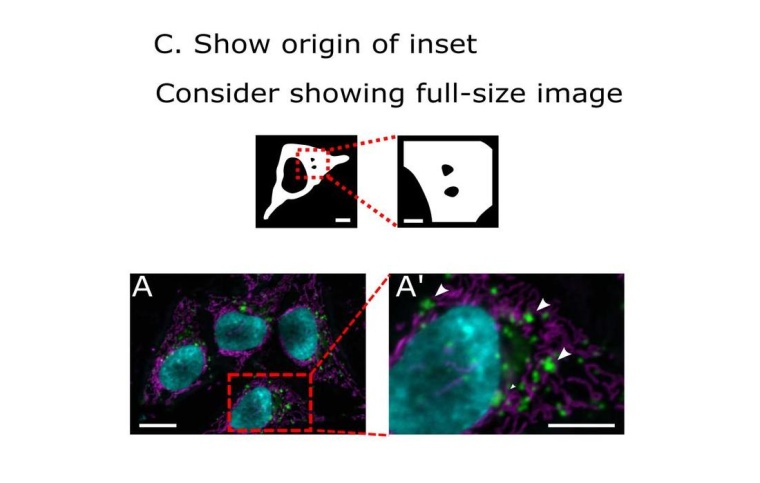 Genaue Angaben zum Maßstab und zur Herkunft von Bildausschnitten zählen zu...
