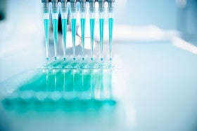 Foto: Wiley Getty Images