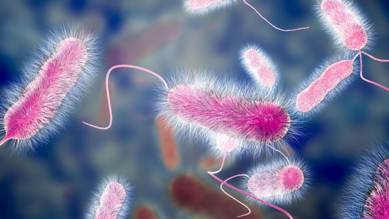 Unentdeckte Gefahr durch Legionellen Foto: i3 Membrane GmbH / Adobe: 280401716