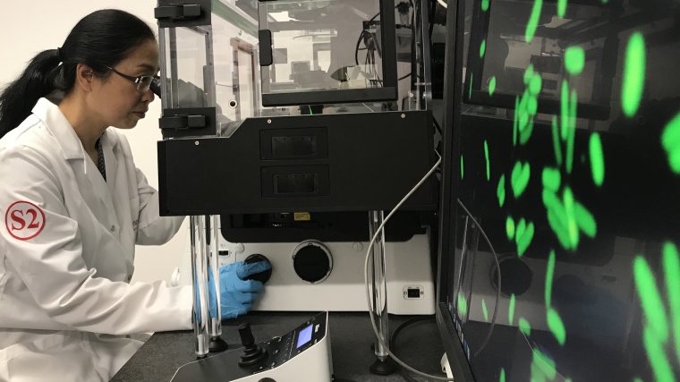 Empa-Forscherin Qun Ren sucht nach neuen Wegen gegen hartnäckige Biofilme....