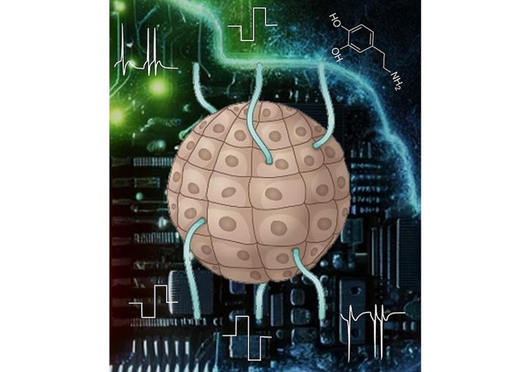 Künstlerische Darstellung einer Gelectro-Maschine, die mit biologischen Zellen...