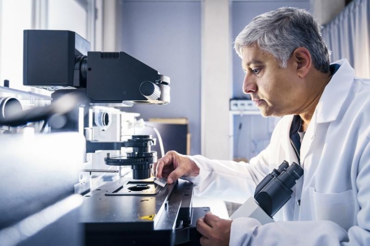 G.V. Shivashankar und seinem Team gelang es in einem Laborversuch, die...