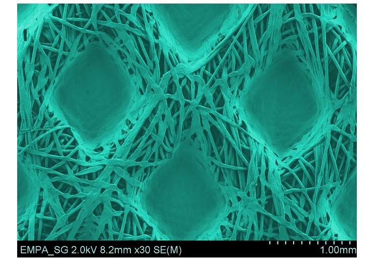 Das an der Empa entwickelte Verfahren ergab eine gleichmässige Verteilung der...