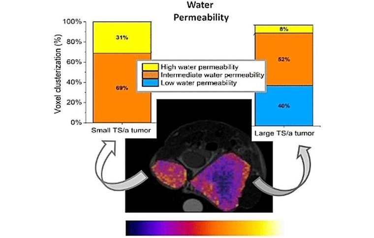 Tumore besser charakterisieren, Grafik: Wiley-VCH
