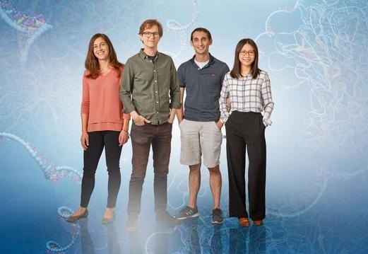 Die an der Studie beteiligten HIRI-Wissenschaftler*innen; von links: Sandra...