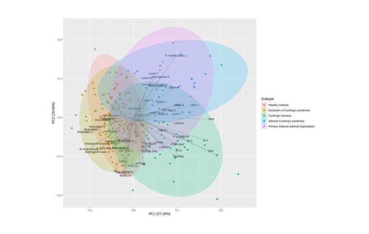 Das Muster der Steroidhormone (Pfeile), die Verteilung der Patientinnen und...