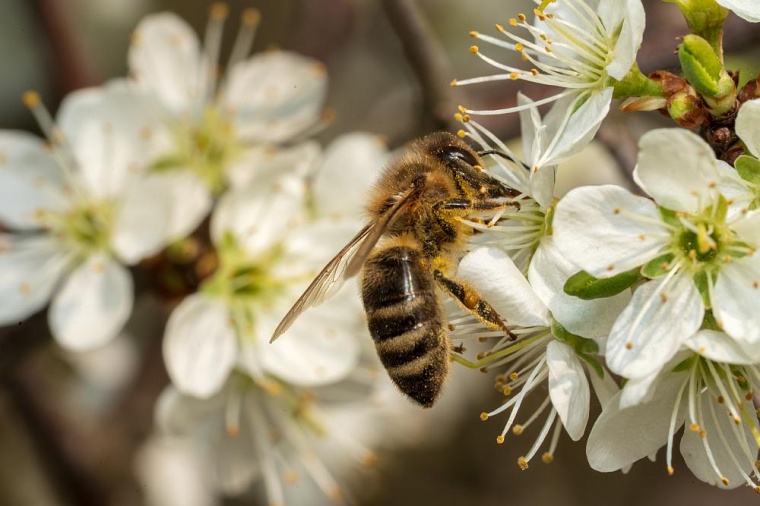 Foto: AdobeStock 260576823