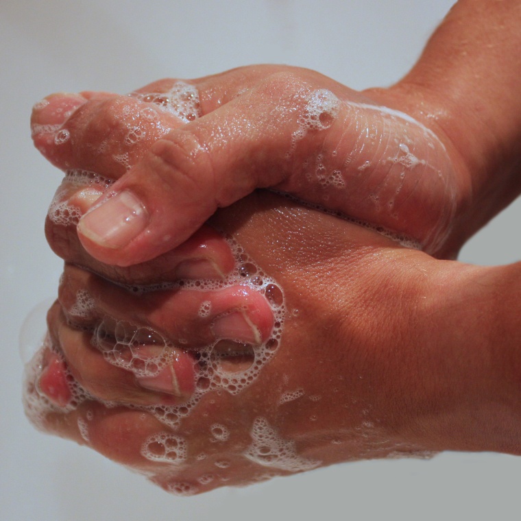 Foto: Wiley / Shutterstock