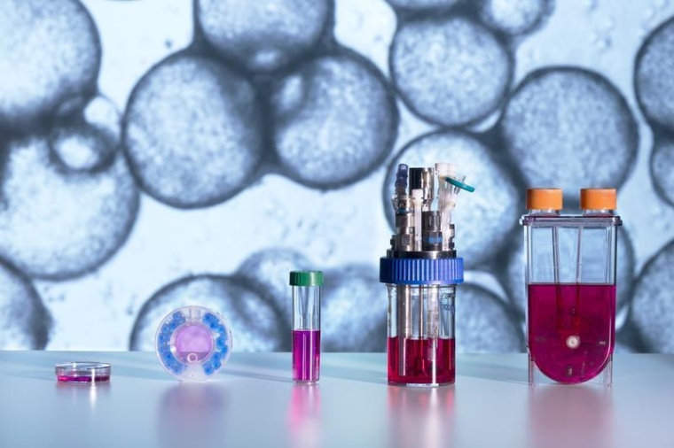 Diverse Bioreaktor-Systeme zur Kultivierung von iPSCs auf Mikrocarriern Foto:...