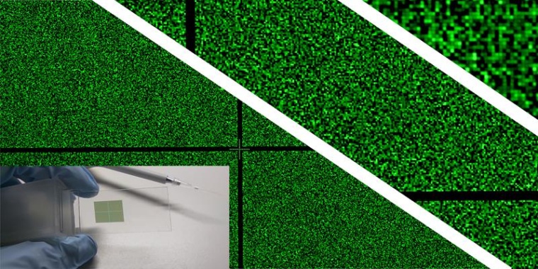 Ein hochdichter RNA-Mikrochip in Originalgröße hat etwa die Größe eines...