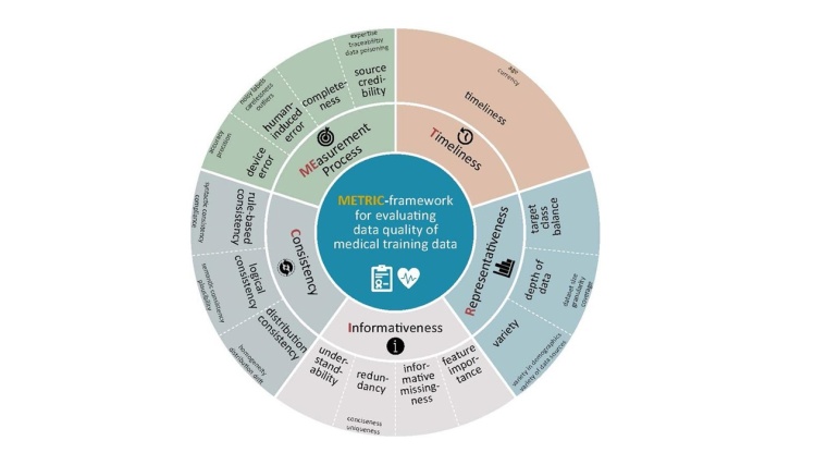 Das „Rad der Datenqualität“ des METRIC -Frameworks zur systematischen...