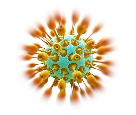 Foto: shutterstock 530290196-1