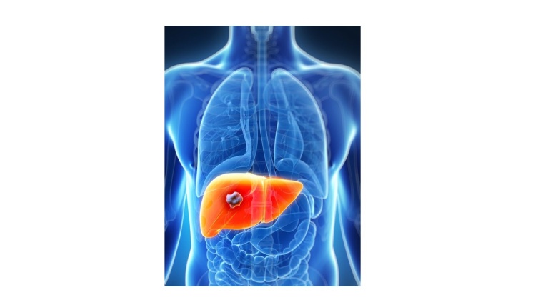 Foto: Wiley Shutterstock