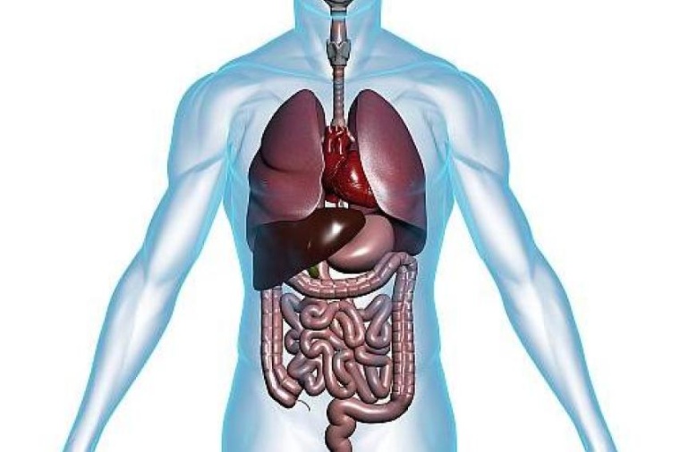 Foto: Wiley / getty images