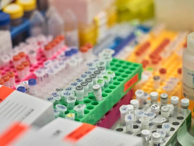 Gen-Editierungs-Tool TnpB ist kleiner und besser transportierbar, Foto:...