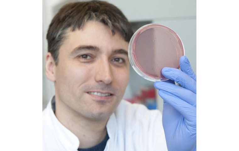 Prof. Christoph Reinhardt vom Centrum für Thrombose und Hämostase (CTH) der...