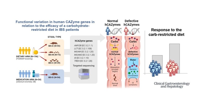 Grafische Zusammenfassung der wissenschaftlichen Veröffentlichung Foto: ...