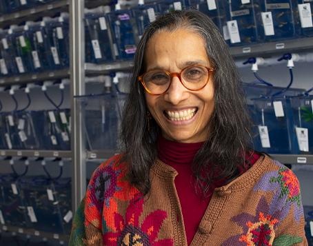 Prof. Dr. Lalita Ramakrishnan gehört zu den Spitzenwissenschaftler*innen in...