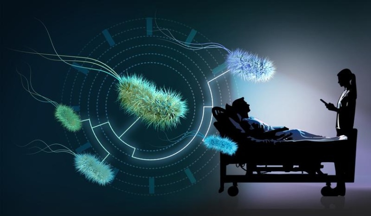 Wird die Evolution der Darmbakterien Wege zur Heilung des Darmmikrobioms...