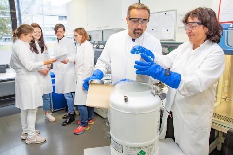 Haben innovative Therapie mit körperfremden Abwehrzellen gegen die tödliche...