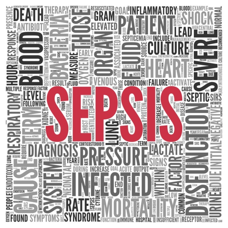 Foto: Wiley Shutterstock