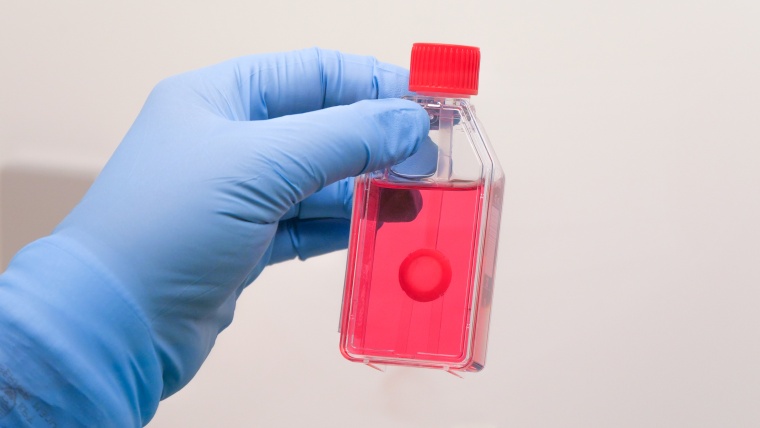 5.470 Patient*innen erhielten ein Augenhornhauttransplantat aus dem Netzwerk...