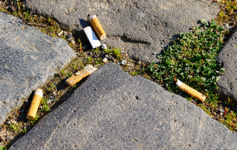 Forscher*innen zeigen: Schadstoffe aus Zigarettenstummeln gelangen in die...