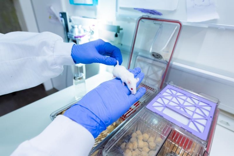 Anstatt bloß ein Antikörper können mit der neuen Technologie 25...