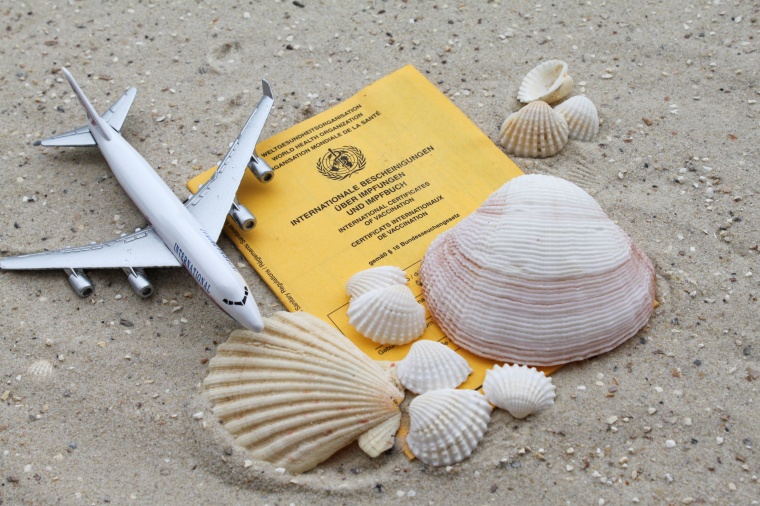 Foto: Wiley / Adobe Stock