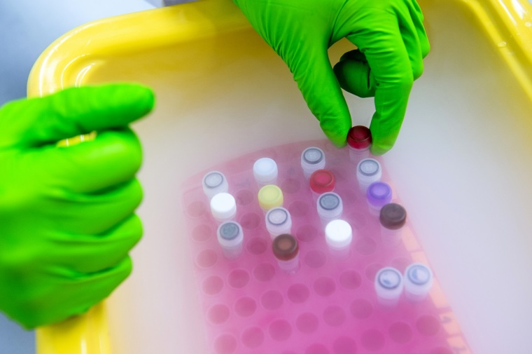 Proben auf Trockeneis. Foto: Helmholtz Munich / Jan Roeder