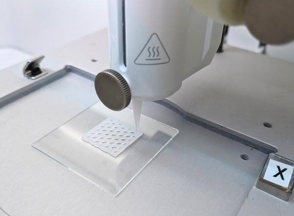 Objekt erstellt durch 3D-Biodruck Foto: Isabelle Schmidt, NMI