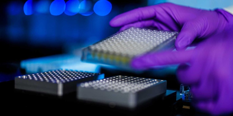 Für das Tumorprofiling aufbereitete Proben werden im Labor analysiert. Foto:...