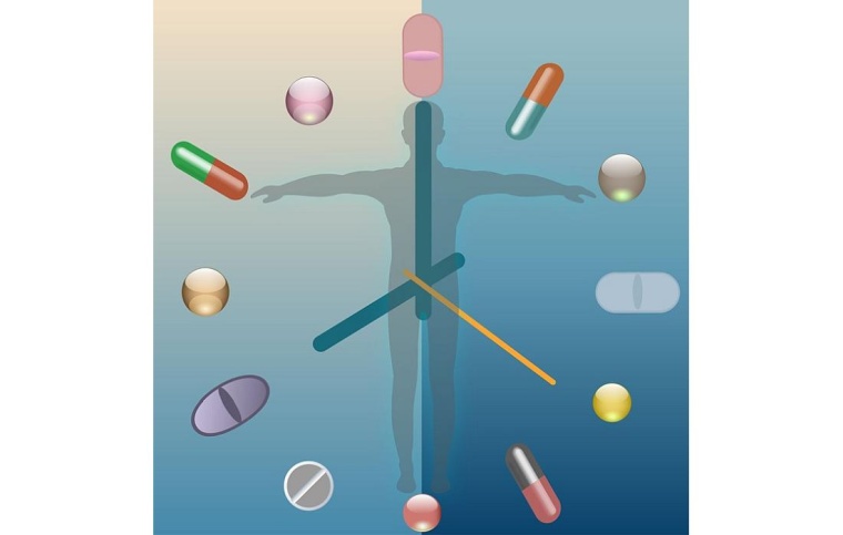Krebstherapie und individueller Tagesrhythmus, Foto: BioRender/Freepik/D.Malhan...
