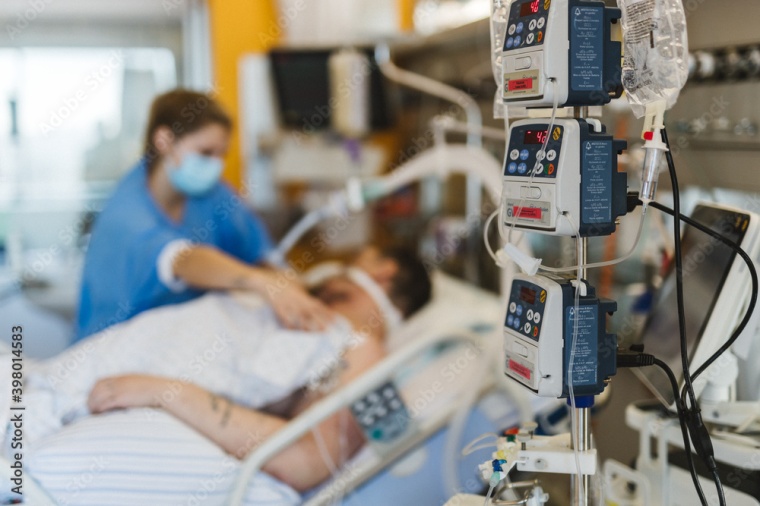 Foto: Wiley Adobe Stock