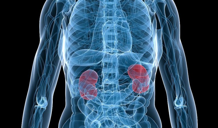 Foto: AdobeStock 8104645