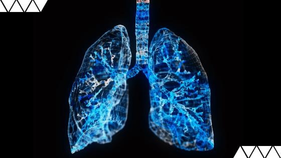 TransMIT spendet 15.000 Euro zur Förderung der Lungengesundheit, Foto: Niklas...