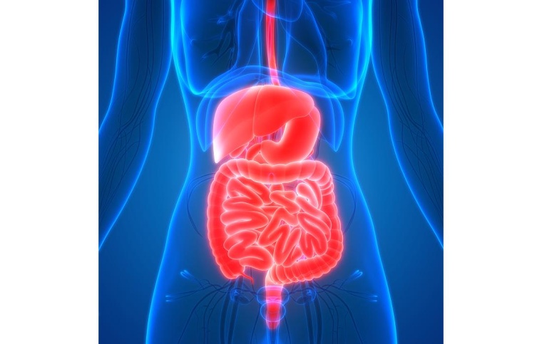 Foto: GettyImages 937384894