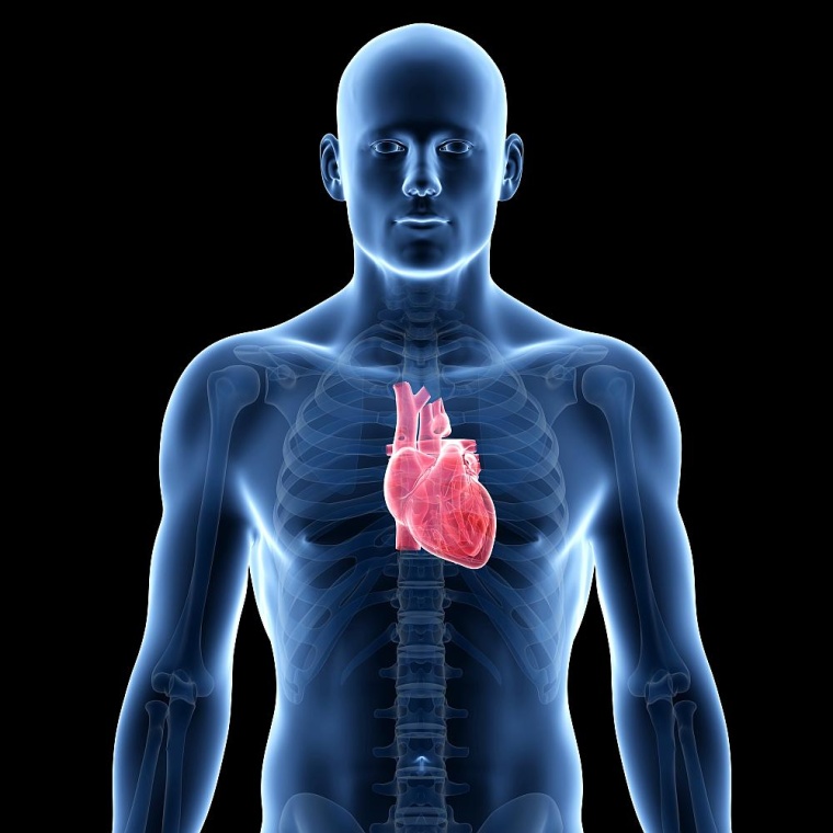 Foto: shutterstock 173295383