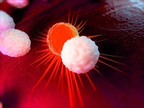 Foto: Wiley / Getty Images 140892360