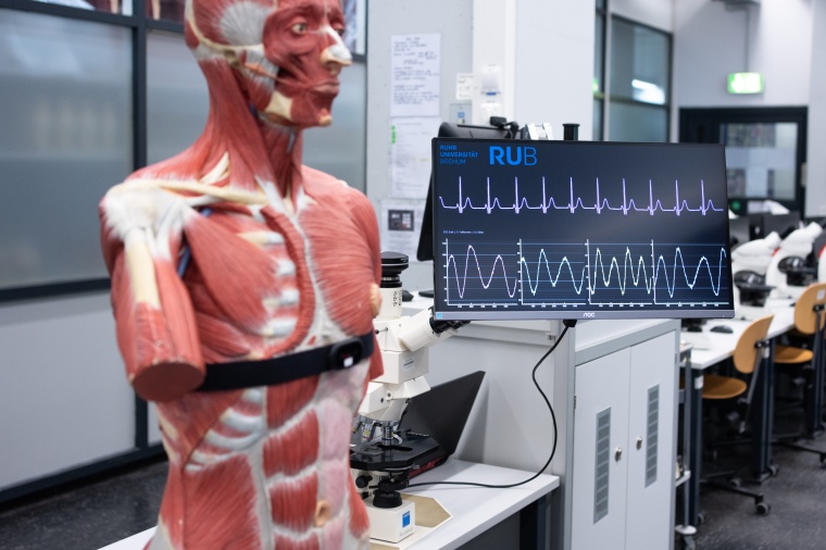 Veränderungen des Herzschlags können Auskunft über die körperliche und...