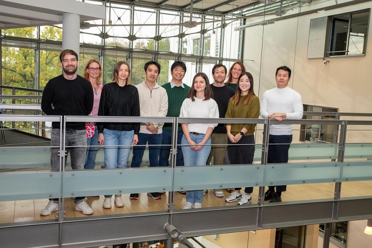 Molekularer Mechanismus für tödliche Nephritis aufgeklärt: Das Team um Prof....