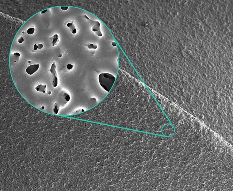 Rasterelektronenmikroskopische Aufnahme einer Silber-dotierten porösen...