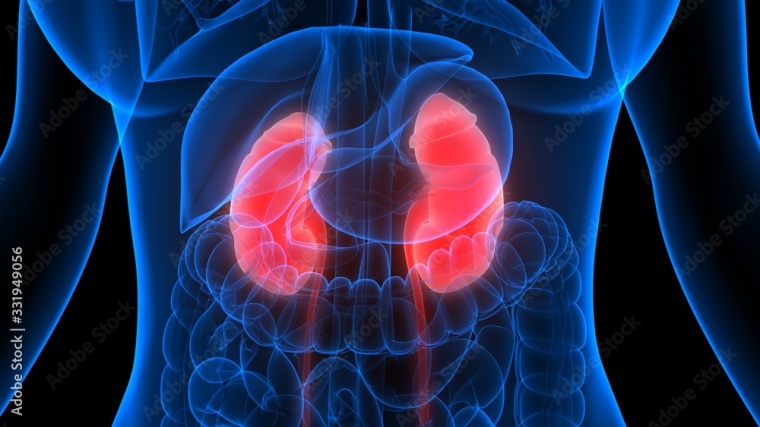 Foto: Wiley Adobe Stock