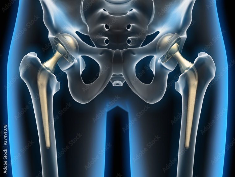 Foto: Wiley Adobe Stock