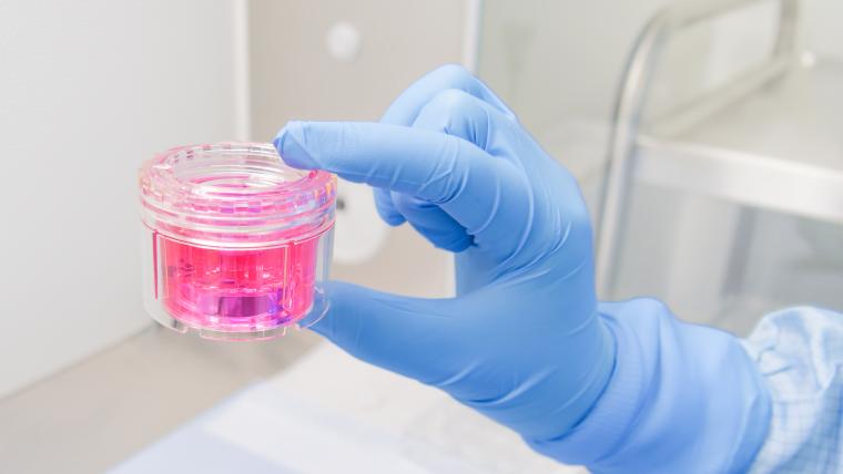 In 2025 ist die Anzahl an Gewebespenden im Netzwerk der Deutschen Gesellschaft...