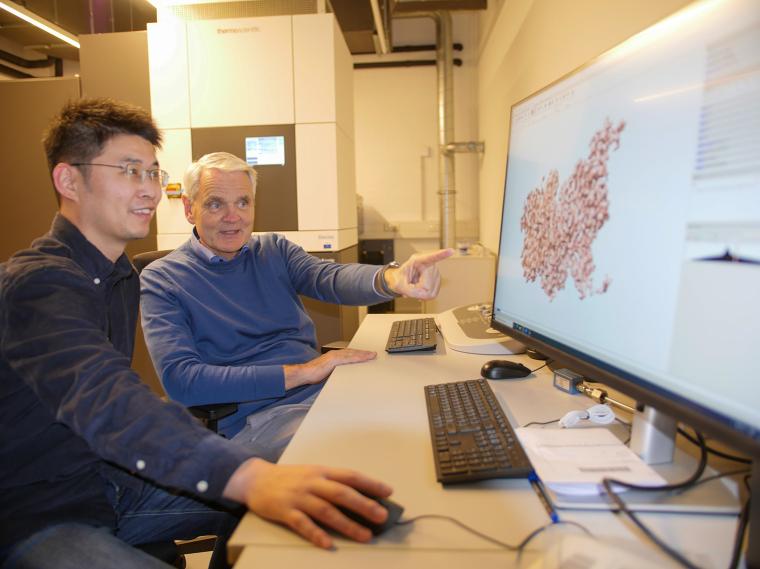 Biao Yuan und Dirk Heinz diskutieren eine Proteinstruktur, die sie mittels...